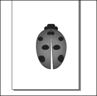 coreldraw绘制七星瓢虫  CorelDraw使用技巧教程