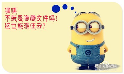 如何彻底隐藏你的隐藏文件？