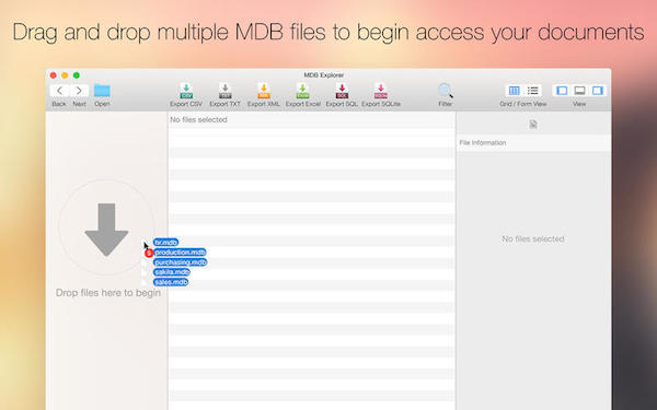 MDB Explorer Mac版下载 MDB Explorer for mac V2.4.2 苹果电脑版 下载--六神源码网