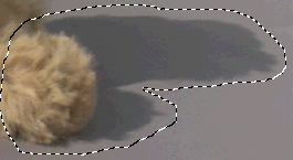 corel knockout抠图实例指南(4)  CorelDraw使用技巧教程