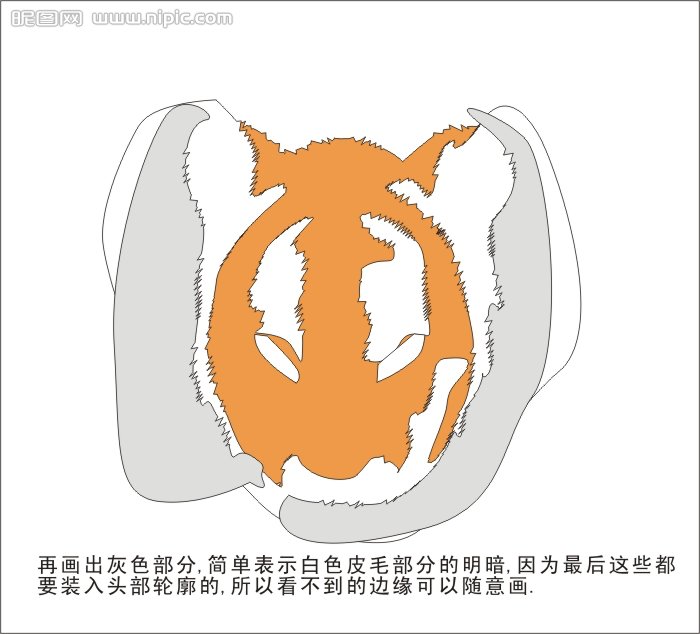 CDR绘制可爱的幼虎  CDR实例教程