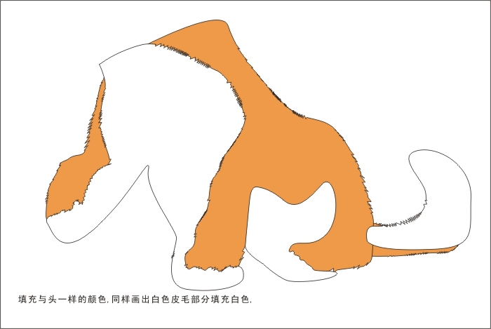 CDR绘制可爱的幼虎  CDR实例教程