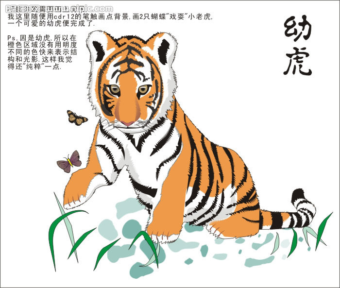 CDR绘制可爱的幼虎  CDR实例教程