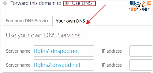 Freenom使用自定义DNS