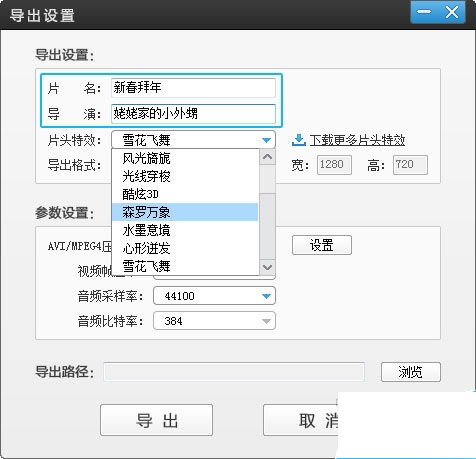 设置片名、导演名