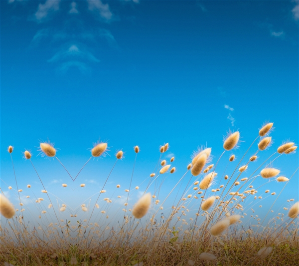 HTC重磅旗舰屏幕确定!附超美壁纸下载