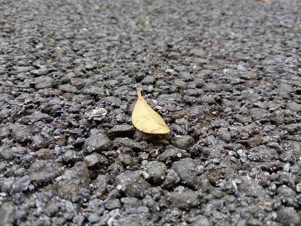 乐檬K3 Note标准版 乐檬K3 Note标准版