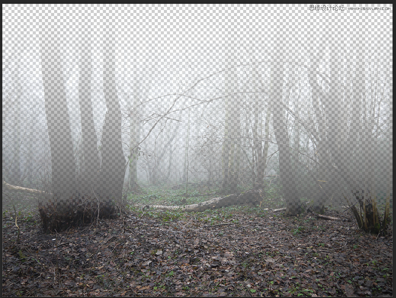 Photoshop合成恐怖效果的森林人像場景