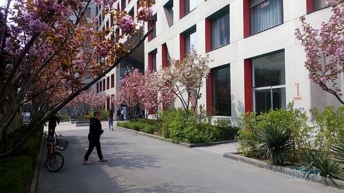 IMG_20150408_134808 IMG_20150408_134808