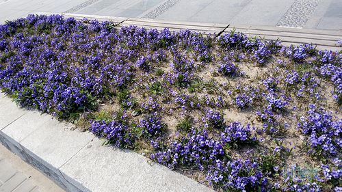 IMG_20150408_134334 IMG_20150408_134334