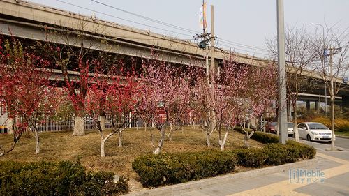 IMG_20150408_134544 IMG_20150408_134544