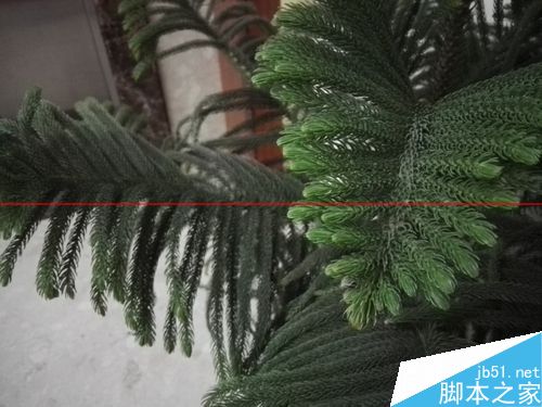 華為P8樣張-7