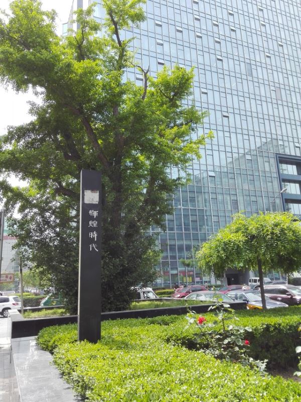 800元以下王者之爭 榮耀暢玩4C對比魅藍(lán) 