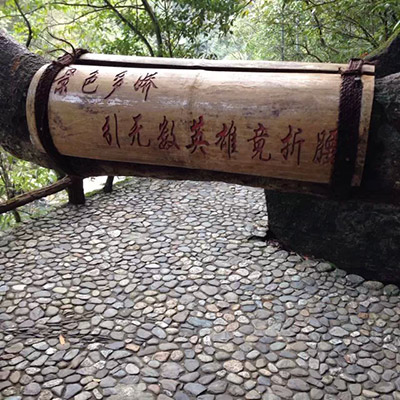 高手在民间!话糙理不糙的旅途神文案 设计理论