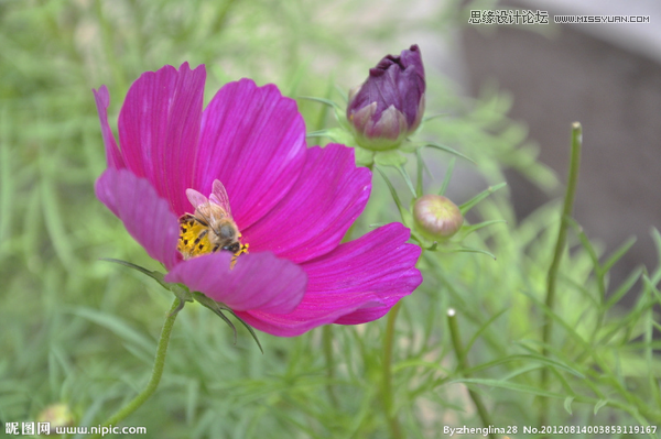 使用photoshop模擬任意一張照片后期效果的制作方法