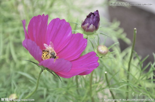 使用photoshop模擬任意一張照片后期效果的制作方法