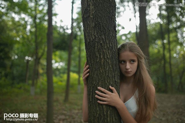 PS調出秋季唯美藝術效果的森林人像教程