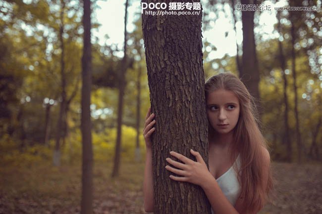 PS調出秋季唯美藝術效果的森林人像教程