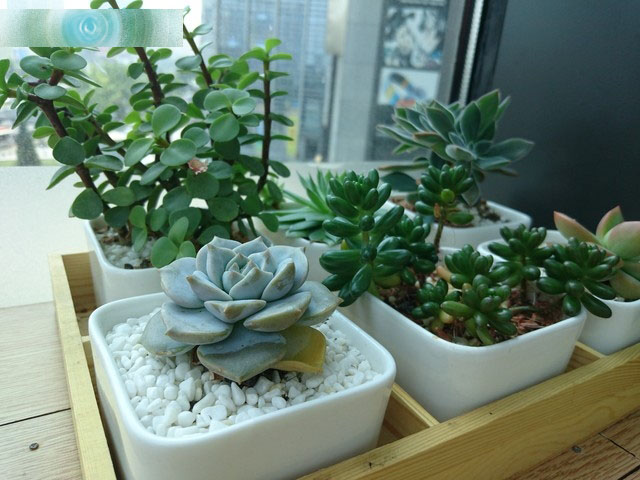 OneSony完成体 索尼Xperia Z3+ Dual评测