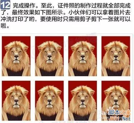怎么用PS制作一寸、二寸證件照