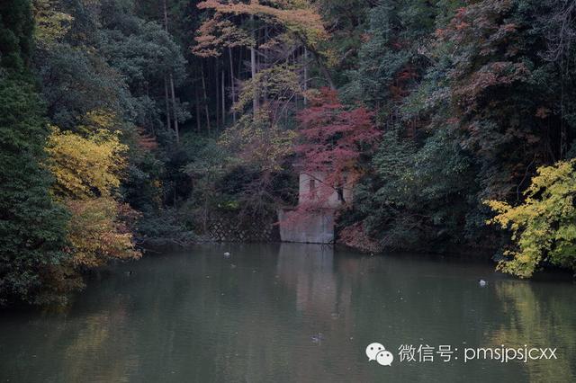  教你如何用套頭鎖住夢幻秋色的PS后期修圖教程