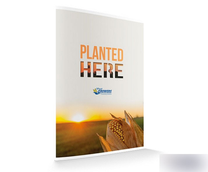 如何制作牛X哄哄的年度报告! 设计理论