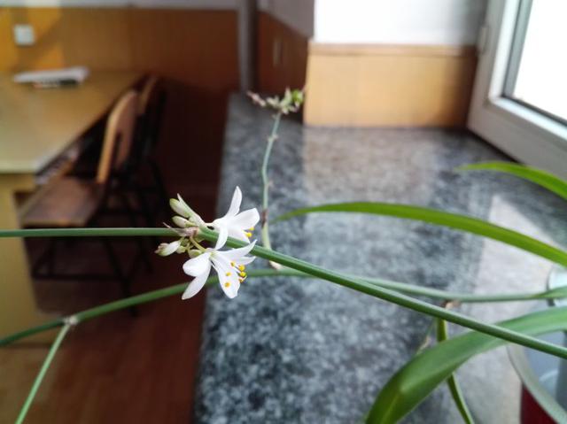 攜大塊頭享大智慧 華為榮耀X2跨界手機(jī)體驗(yàn)分享