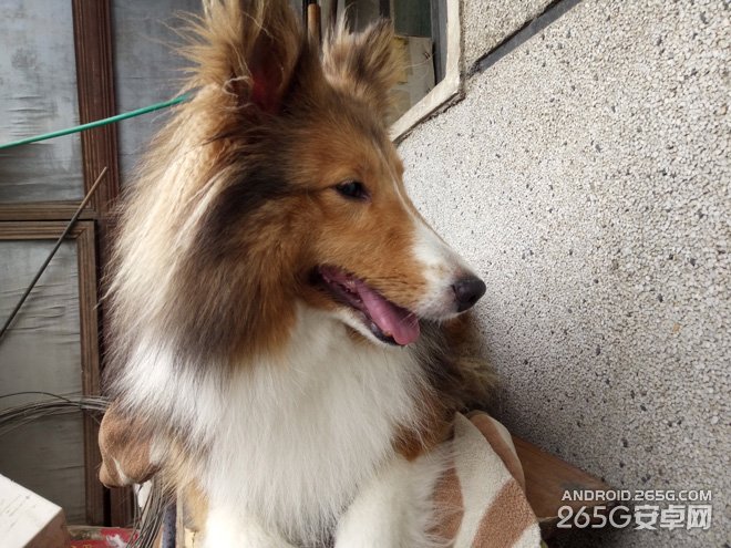 OPPO R7评测