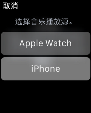 apple watch怎么连接蓝牙耳机 苹果watch连接蓝牙耳机方法5