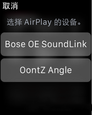 apple watch怎么连接蓝牙耳机 苹果watch连接蓝牙耳机方法6