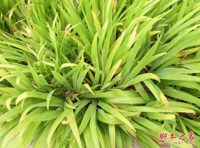 理性对待抢购,魅蓝note2体验点评