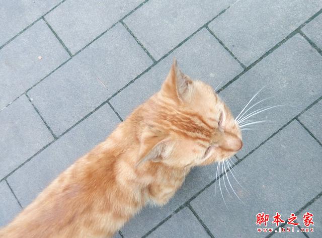 理性对待抢购,魅蓝note2体验点评