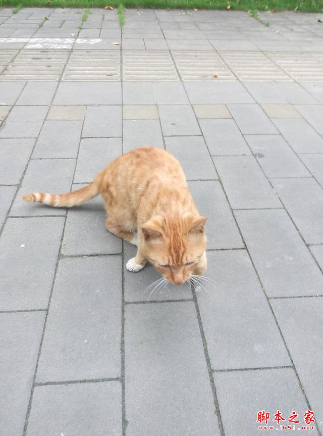 理性对待抢购,魅蓝note2体验点评