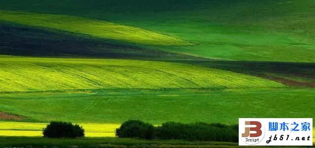 摄影师从呼伦贝尔大草原回来，惊呼原来天堂的颜色是绿色！