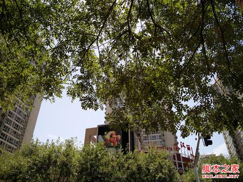 一加2样张-1 一加2样张-1