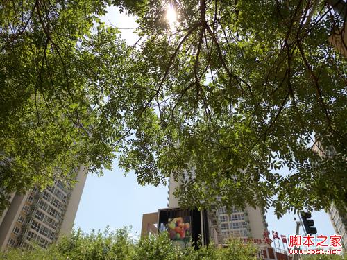 MX5样张-1 MX5样张-1