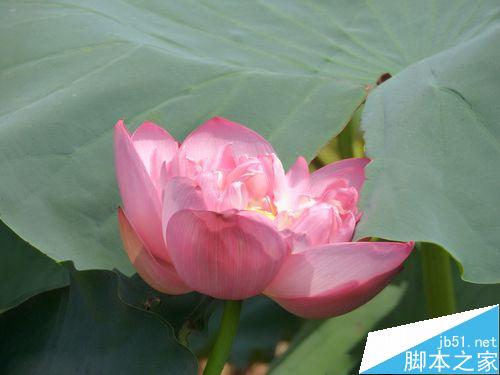 摄影专业技法