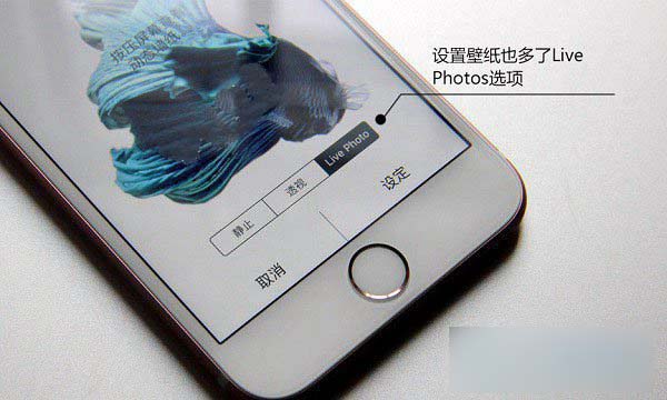 iPhone6s玫瑰金Live Photos拍照功能如何使用？