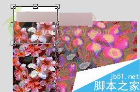 CorelDRAW X3新功能体验：裁切工具 CorelDraw入门教程