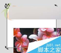 CorelDRAW X3新功能体验：裁切工具 CorelDraw入门教程