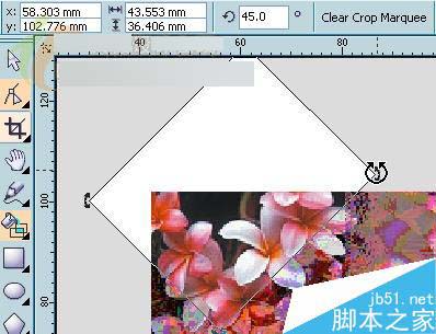 CorelDRAW X3新功能体验：裁切工具 CorelDraw入门教程