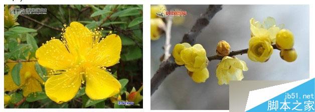 如何做好扁平化视觉设计 设计理论