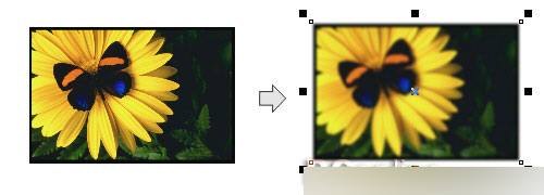 CorelDRAW 12循序渐进-应用滤镜 CorelDraw入门教程
