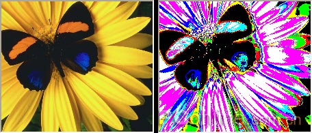 CorelDRAW 12循序渐进-应用滤镜 CorelDraw入门教程