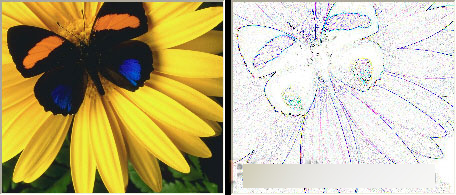 CorelDRAW 12循序渐进-应用滤镜 CorelDraw入门教程