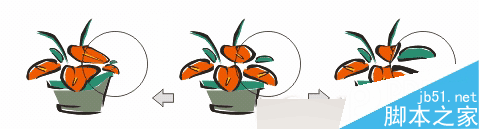 CorelDRAW 12循序渐进-透镜效果 CorelDraw入门教程