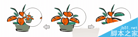 CorelDRAW 12循序渐进-透镜效果 CorelDraw入门教程