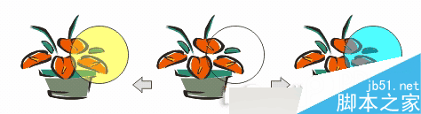 CorelDRAW 12循序渐进-透镜效果 CorelDraw入门教程