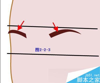Illustrator鼠繪教程：插畫人物系列之清純美女的繪制_中國教程網(wǎng)