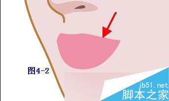 Illustrator鼠繪教程：插畫人物系列之清純美女的繪制_中國教程網(wǎng)